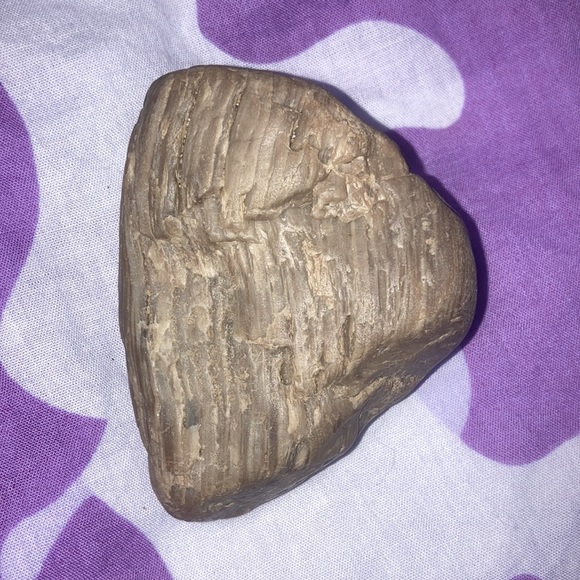 Chakra stone (Petrified wood) - Picture 2 of 4